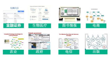 知识图谱理论与实战 智能技术领域的行业知识图谱构建