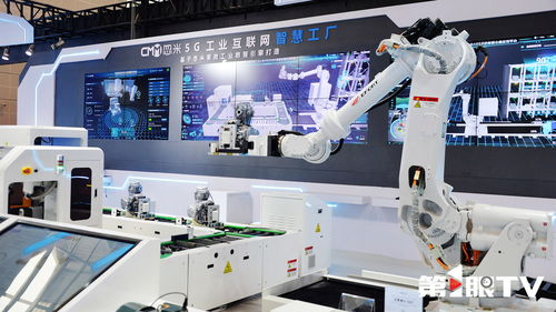 重庆第1眼 2025智博会以智提质，开启智能技术新篇章